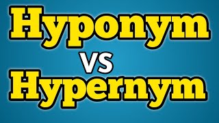 What is hyponym What is hypernym What is the difference between hyponym and hypernym [upl. by Rodgers]