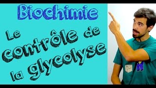 Cours de biochimie Contrôle de la glycolyse vidéo [upl. by Delogu327]