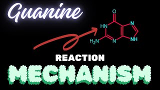 GuanineReaction Mechanism [upl. by Lacey683]