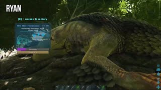 ARK Survival Evolved  Live Gameplay [upl. by Beverlee]