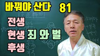 전생 현생 후생 죄를 지으면 짐승으로 태어나게 된다 [upl. by Bultman]