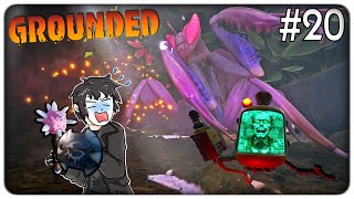 DOPPIA EPICA BOSS BATTLE ELIMINIAMO LA MANTIDE RELIGIOSA E IL DIRETTORE SCHMECTOR  Grounded  ep20 [upl. by Redfield862]