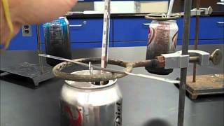 🔥 Food Calorimetry Experiment  Mr Pauller [upl. by Natsirt497]