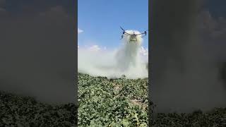 Drone Irrigation agricultureinnovation irrigationtech farming irrigationsolutions [upl. by Enel]