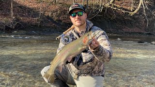 Streamers for Steelhead [upl. by Car648]