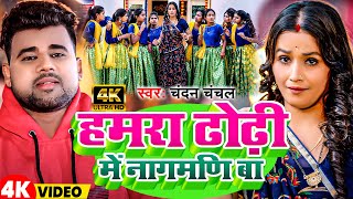 Vodeo  हमरा ढोढ़ी में नागमणि बा  Chandan Chanchal  Hamra Dhodhi Me Nagamni Ba  New Song 2024 [upl. by Anujra]