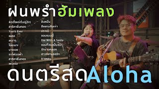 ผิดตั้งแต่เริ่มชู้รักสาริกาลิ้นทองYours Everเผลอ  ดนตรีสดAcoustic Cover [upl. by Clausen81]