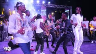 Diamond Platnumz  Live Performance at ZIMBABWE PART 3  WATORA MALI CONCERT [upl. by Leuas880]