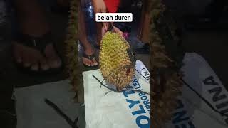 Belah duren [upl. by Oirram322]