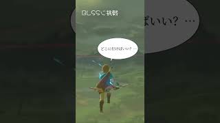 blssゲーム ゼルダの伝説 ネタ [upl. by Luapsemaj]