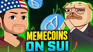 Sui Memecoin Trading in 2024 Tips for Safe Investing [upl. by Ora]