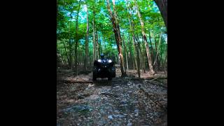 CForce 800 XC amp Grizzly 700 XTR Log Hoping’ shorts atv offroad [upl. by Negaem539]