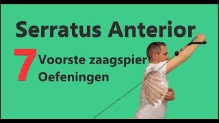 7 Serratus Anterior Schouder Scapula Alata Oefeningen bij Pijn in de Bovenrug en Schouderblad [upl. by Klapp259]