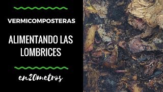 VERMICOMPOSTERAS alimenta tus LOMBRICES correctamente  en20metros [upl. by Fechter862]