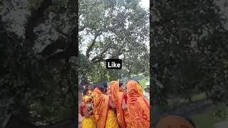 Kumbhare pani nabu bandharu [upl. by Aehsan]