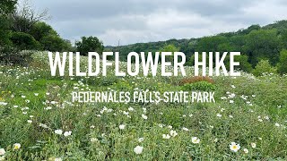 Wildflower Hike in Pedernales Falls State Park  Texas [upl. by Zebaj]