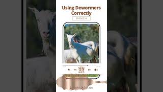 Using Dewormers Correctly [upl. by Nellad]