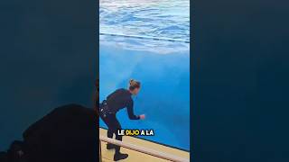 La Orca Domesticada Más Fina Que Jamás Hayas Visto ❤️ [upl. by Hines]