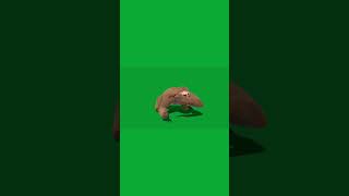 Two Toed Sloth sloth game nyilonelycompany animals lowpoly [upl. by Janessa]