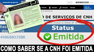 COMO SABER SE SUA CNH FOI EMITIDA E ESTÁ PRONTA  DEPOIS QUE PASSOU NOS EXAMES [upl. by Hayalat851]