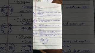 BSc Biotech1st sem UNIT5 Cell CycleMeiosis biotechnology bsc zoology neet notes exam 1st [upl. by Pepito558]