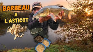 Les astuces dun expert pour pêcher le barbeau à lasticot [upl. by Sudnac]