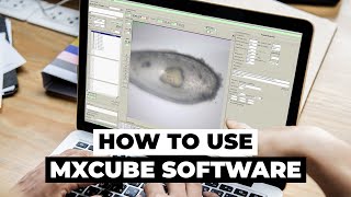 How to use MXCuBE software  PROXIMA1 Beamline [upl. by Liauqram287]