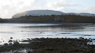 Ballisodare Bay Co Sligo 527pm 3March2024 [upl. by Snowber]