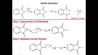 Lec9  Gabriel Synthesis of Primary Amines [upl. by Hwu]