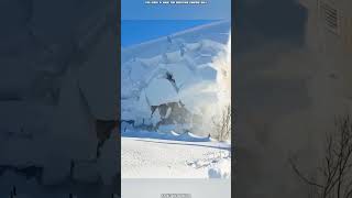 Satisfying 🤩 Snow Removal From Roof [upl. by Serilda]