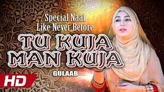 Special Naat Like Never Before  Tu Kuja Man Kuja  Gulaab  HiTech Islamic  Beautiful Naat [upl. by Nancey]