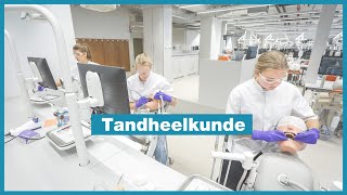 Bachelor in de tandheelkunde  Leuven  KU Leuven [upl. by Razec]