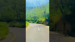 Swat Beauty swat nature quranrecitation ytshorts shorts swatview ❤️😍 [upl. by Sadick326]