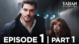 Yaban Çiçekleri Episode 1  Part 1 Subtitled in English YabanCicekleriEnglish [upl. by Karlin]