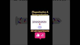 Magnetization amp Demagnetization  Explanation with Animation physics shorts [upl. by Moretta]