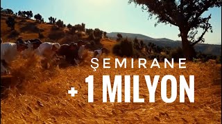 Şemirane u Palehî  Botan Doğal Senfoni Orkestrası  Prod Rıdvan Yıldırım Official Music Video [upl. by Eelirrem23]