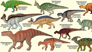 Hadrosaurs “Duck Billed” Dinosaurs [upl. by Gehlbach848]