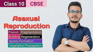 Asexual Reproduction  How do organisms reproduce  Class 10 CBSE  Pnkj Verma Sir [upl. by Bloch702]