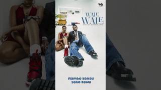 Wale wale Zuchu feat diamond platnum walewale walewalechallenge [upl. by Enibas216]