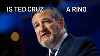 Is Ted Cruz A RINO [upl. by Aikyt]