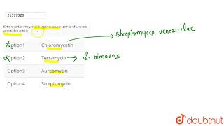 Streptomyces griseus produces antibiotic [upl. by Ennaitak]