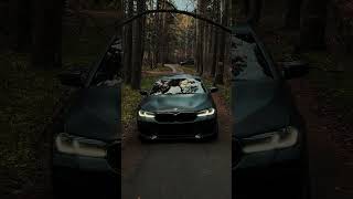 BMW M550i in the Ural forest [upl. by Gnirps]