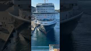 ⚓🚢 biggest ship seawisegiant passangers ship 458m oceans shipsafety youtubeshorts [upl. by Sirtimid]