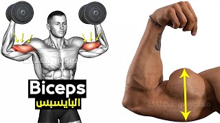 How To Build Your Biceps Workout Fast long head  short head [upl. by Baese]