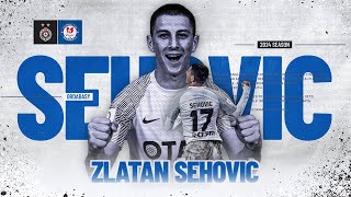 Zlatan SEHOVIC ● LWBLB ● HIGHLIGHTS  ANALYSIS ● 202425 [upl. by Annoda]