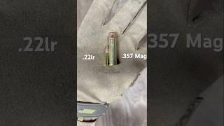 22lr vs 357 Mag Size Comparison [upl. by Tillford]