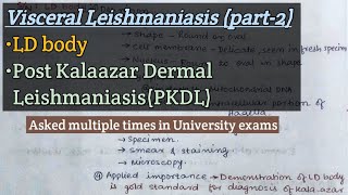 Kala azar part2  Leishman Donovan body LD body  Post Kalaazar Dermal Leishmaniasis PKDL [upl. by Aicirtak353]