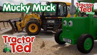 Mucky Muck 🚜  New Tractor Ted Trailer  Tractor Ted Official Channel [upl. by Bev]