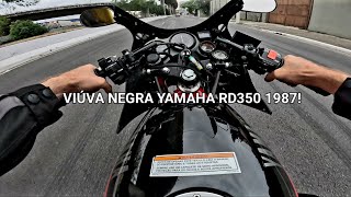 PILOTEI A MELHOR VIÚVA NEGRA RD 350 1987 NÃO TEM NADA MAIS EMOCIONANTE QUANDO ABRE O YPVS [upl. by Ahsiryt702]