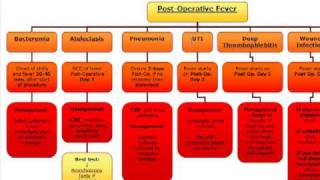 Surgery Algorithm PostOperative fever [upl. by Algie]